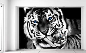 Fotótapéta Feketefehér tigris és kistigris Anyag: Öntapadó, Méretek: 368 x 248 cm