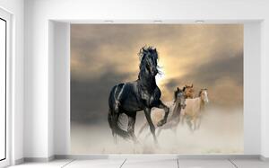 Fotótapéta Gyönyöru fekete ló Anyag: Öntapadó, Méretek: 200 x 150 cm