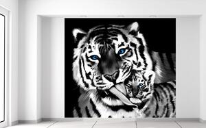 Fotótapéta Feketefehér tigris és kistigris Anyag: Öntapadó, Méretek: 268 x 240 cm