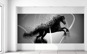 Gario Fotótapéta Fekete-fehér ló - Jakub Banas Anyag: Öntapadó, Méret: 536 x 240 cm