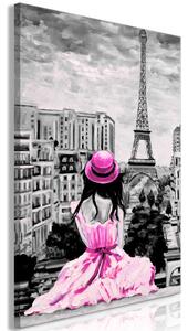 Vászonkép - Paris Colour (1 Part) Vertical Pink