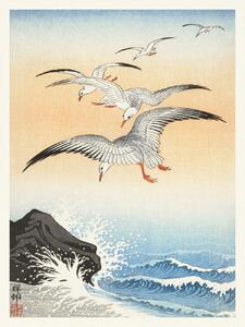 Festmény reprodukció Flock of Seagulls (Japandi Vintage) - Ohara Koson, (30 x 40 cm)
