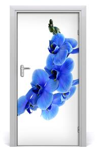 Ajtó méretű poszter kék orchidea 75x205