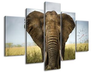 5 részes órás falikép Nagy elefánt