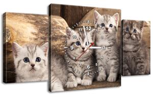 3 részes órás falikép Brit macskák