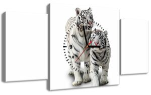 3 részes órás falikép Fehér tigrisek