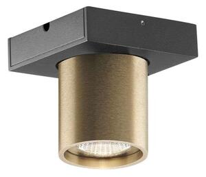 LIGHT-POINT - Focus Mini 1 LED Mennyezeti Lámpa 2700K BrassLight-Point - Lampemesteren