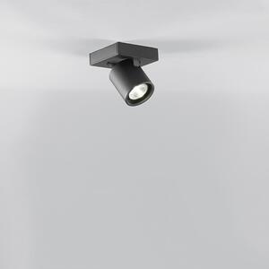 Light-Point - Focus Mini 1 Spot IP20 2700K Black - Lampemesteren