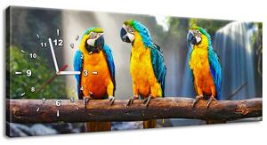 Gario Órás falikép Színes papagájok Méret: 100 x 40 cm