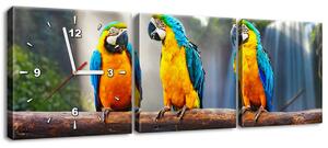 Gario Órás falikép Színes papagájok - 3 részes Méret: 80 x 40 cm