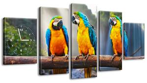 Gario Órás falikép Színes papagájok - 5 részes Méret: 150 x 70 cm