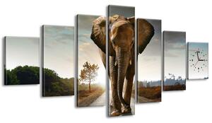 Órás falikép Magányos eros elefánt - 7 részes Méretek: 210 x 100 cm