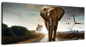Gario Órás falikép Magányos eros elefánt Méret: 60 x 40 cm
