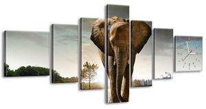 Gario Órás falikép Magányos eros elefánt - 7 részes Méret: 210 x 100 cm