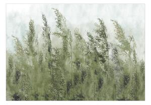 Öntapadó fotótapéta - Tall Grasses - Green