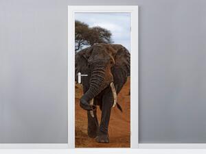 Gario Fotótapéta ajtóra Siema elefánt - Feans Anyag: Öntapadó, Méret: 95 x 205 cm