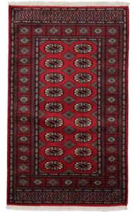 Gyapjú szőnyeg Mauri 93x153 kézi nappali szőnyeg