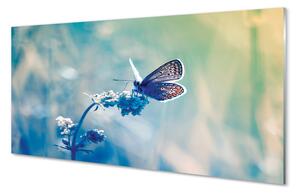 Konyhai üveg panel színes pillangó