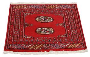 Gyapjú szőnyeg Mauri 62x64 kézi nappali szőnyeg
