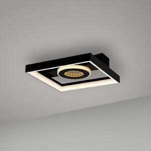Paul Neuhaus LED mennyezeti lámpa Traforo, 25 cm, CCT, fényerőszabályzóval