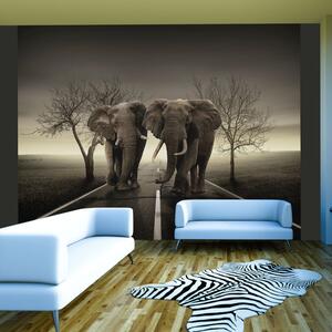 Fotótapéta - Város elefántok