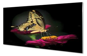 Konyhai üveg panel Pillangó a virágon