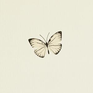 Színes pillangó mintás tapéta (633047)