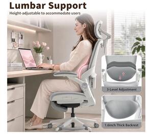 MUSSO E80 ergonomikus forgószék dinamikus deréktámasszal és lábtartóval, szürke