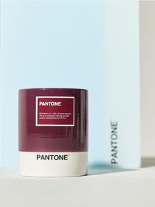 Sinsay - Gyertya Pantone - mályva