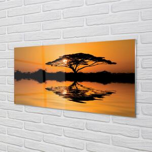Konyhai üveg panel Sunset fa 100x50 cm