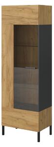 Vitrin Shanna (arany craft tölgy + antracit). Akció -26%