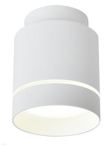 Candellux LED Mennyezeti lámpa TUBA LED/12W/230V CA0277