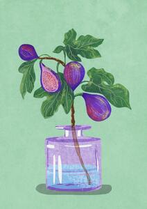 Illusztráció Figs Branch In Vase, Raissa Oltmanns, (30 x 40 cm)