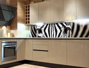 Konyhai fotótapéta - zebra 180 x 60 cm