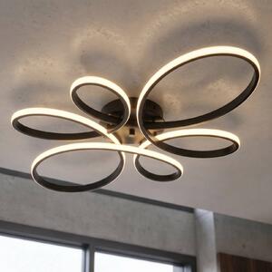 Trio Lighting Fly LED mennyezeti lámpa, matt fekete, 3.000 K, 83 cm x 45 cm, dimmelhető, Fekete, Nappali / Étkező, fém, Modern