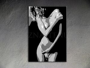 Kézzel festett vászonképek POP Art Nude Woman (POP ART képek)