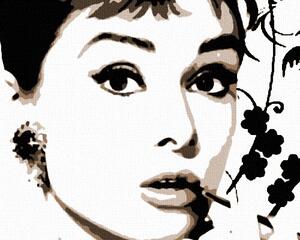 Kézzel festett vászonképek POP Art Audrey Hepburn ah6 (POP)