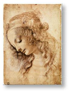 Vászonkép Női FEJ  Leonardo Da Vinci (reprodukció 60x80 cm)