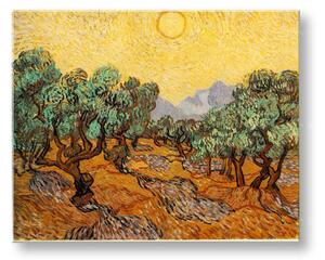 Vászonkép OLAJFÁK - Vincent van Gogh (reprodukció 50x60 cm)