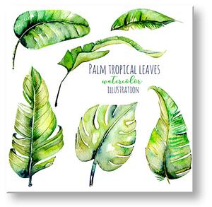 Vászonkép szöveggel Palm tropical leaves (modern vászonképek)