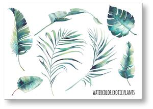 Vászonkép szöveggel Watercolor exotic plants (modern)