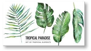 Vászonkép szöveggel Tropical paradise (modern vászonképek)