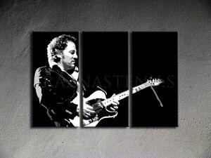 Kézzel festett vászonképek POP Art Bruce Springsteen bs