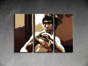 Kézzel festett vászonképek POP Art AL Bruce Lee lee (POP ART)