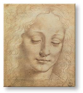 Vászonkép Női FEJ 3  Leonardo Da Vinci (reprodukció 70x60 cm)