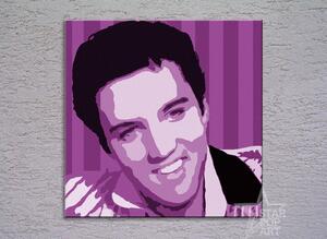 Kézzel festett vászonképek POP Art Elvis Presley el4 (POP)