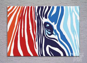 Kézzel festett vászonképek POP Art COLOURS zebra (POP ART)