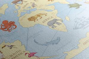 Parafa kép világ térkép állatokkal