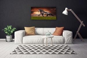Vászonfotó Black Horse Meadow Állatok 100x50 cm