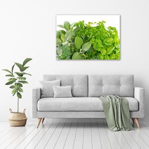 Fali Üvegkép Gyógynövények